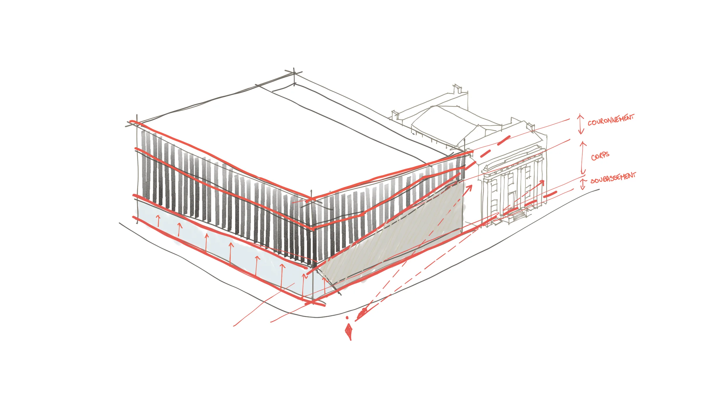 Morphogenesis — step 2
