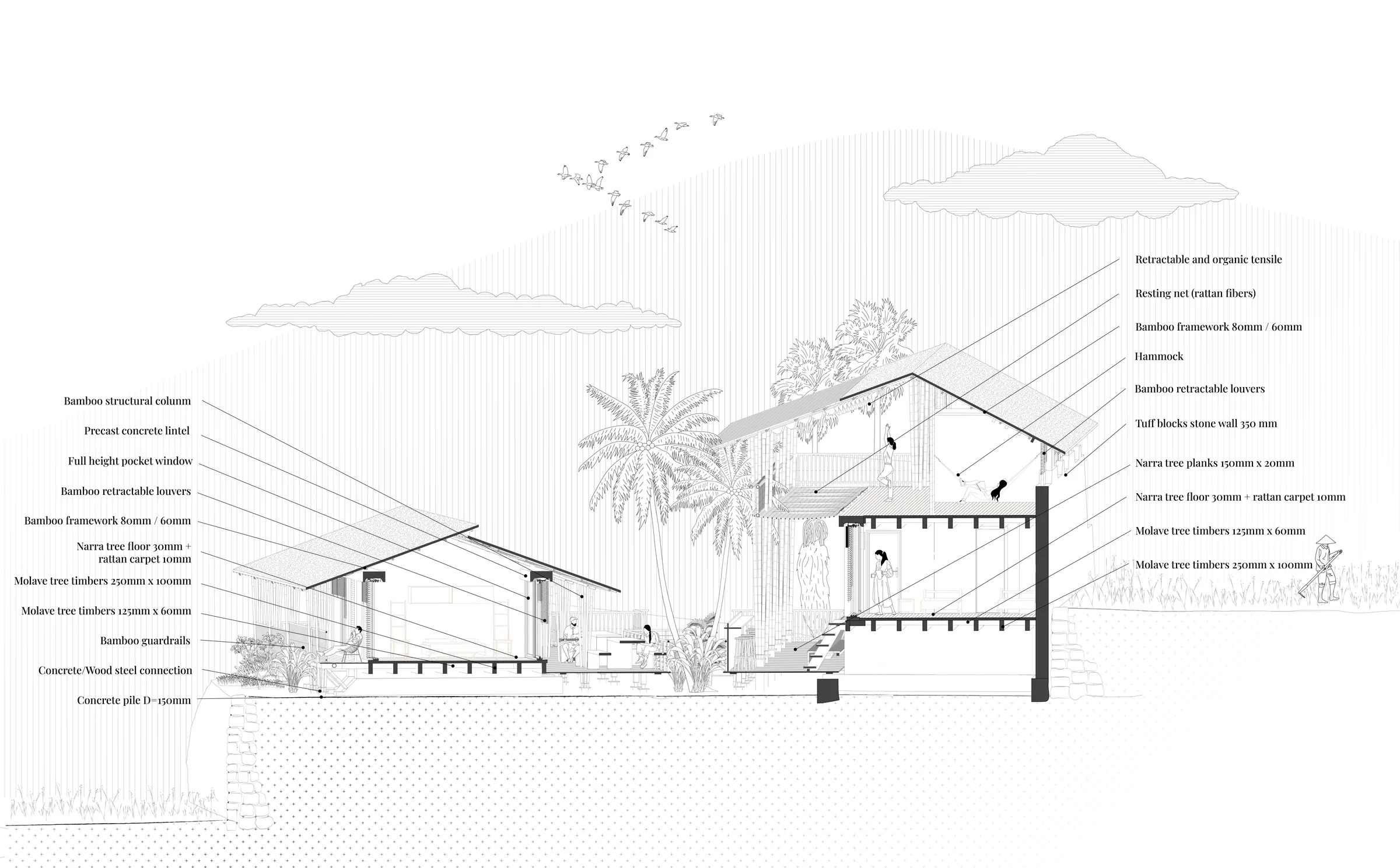 Perspective section through the planted courtyard