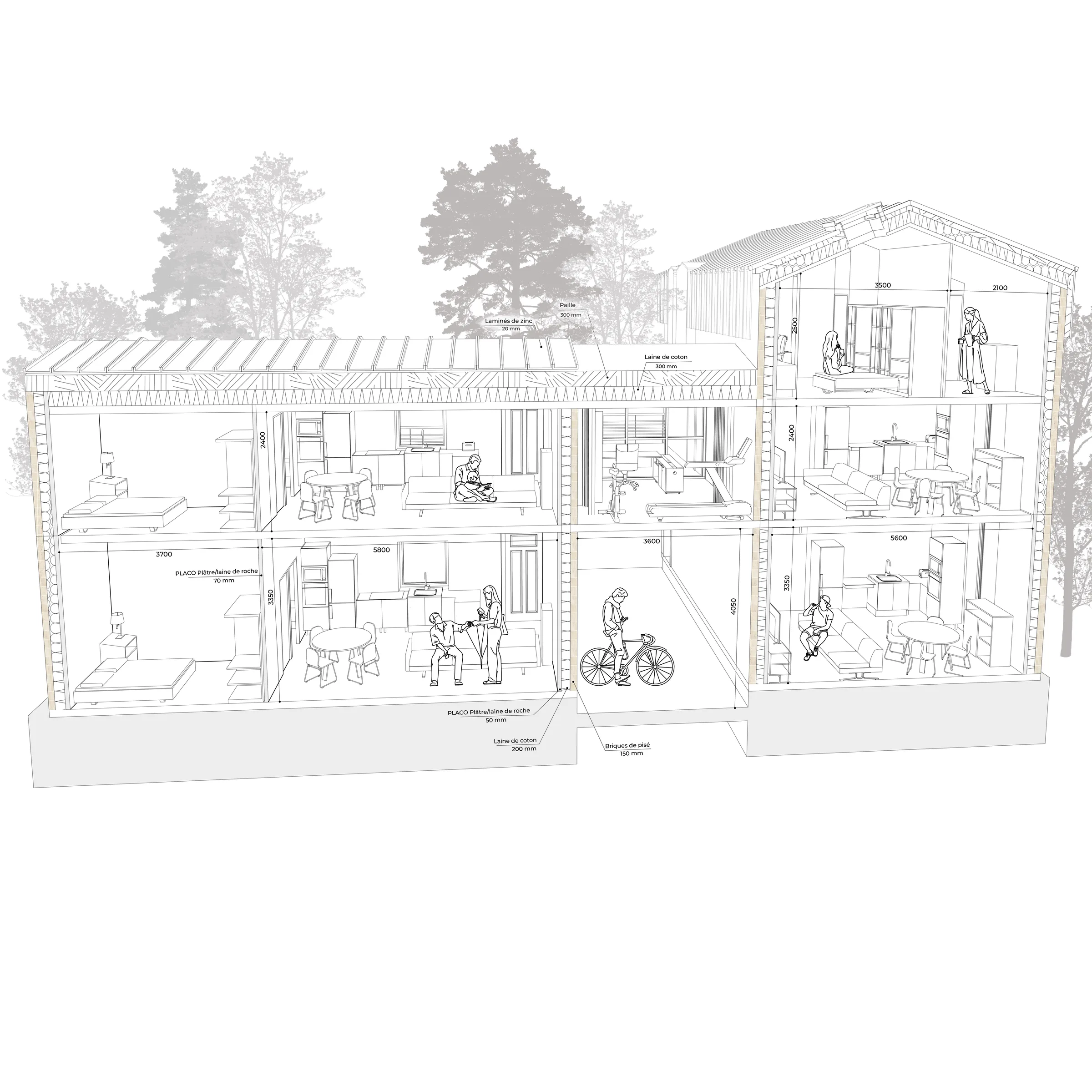 Perspective section through two housing units